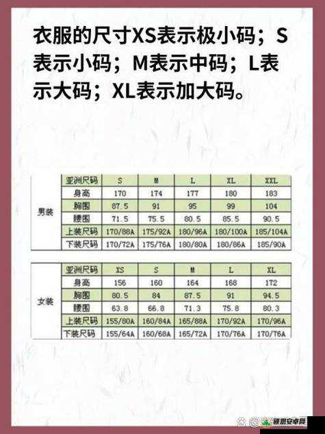 亚洲 M 码欧洲 S 码 SSS222 之尺码差异对比与详细解析